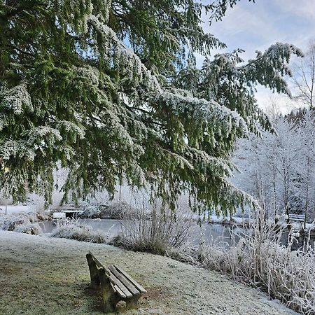 Ferienwohnung Tannenballett Im Schwarzwald Baiersbronn Dış mekan fotoğraf