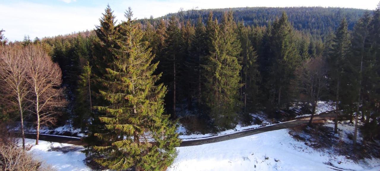 Ferienwohnung Tannenballett Im Schwarzwald Baiersbronn Dış mekan fotoğraf