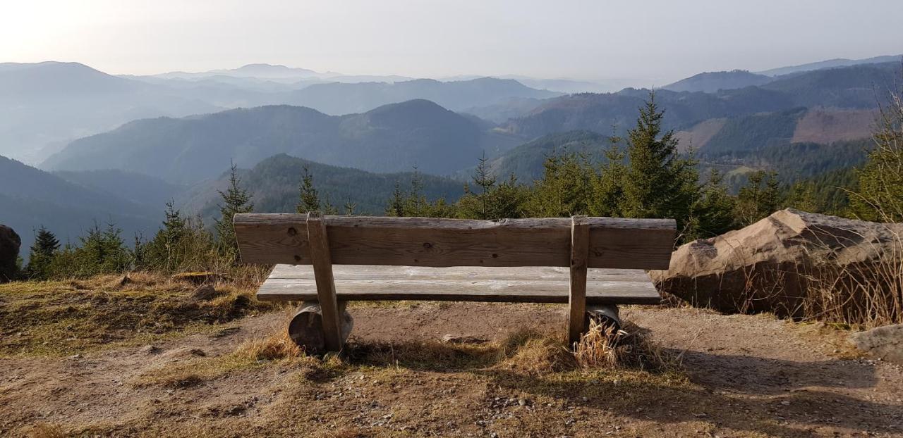 Ferienwohnung Tannenballett Im Schwarzwald Baiersbronn Dış mekan fotoğraf