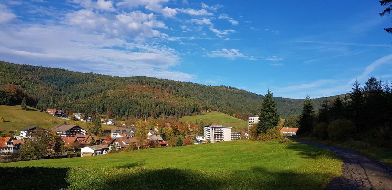 Ferienwohnung Tannenballett Im Schwarzwald Baiersbronn Dış mekan fotoğraf