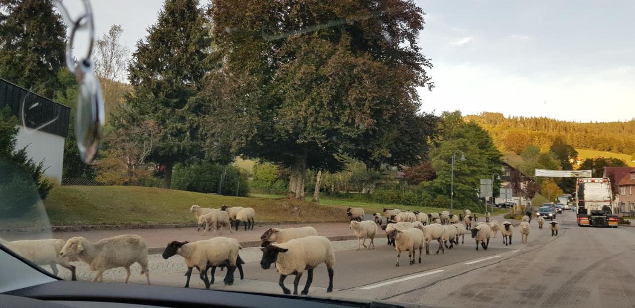 Ferienwohnung Tannenballett Im Schwarzwald Baiersbronn Dış mekan fotoğraf