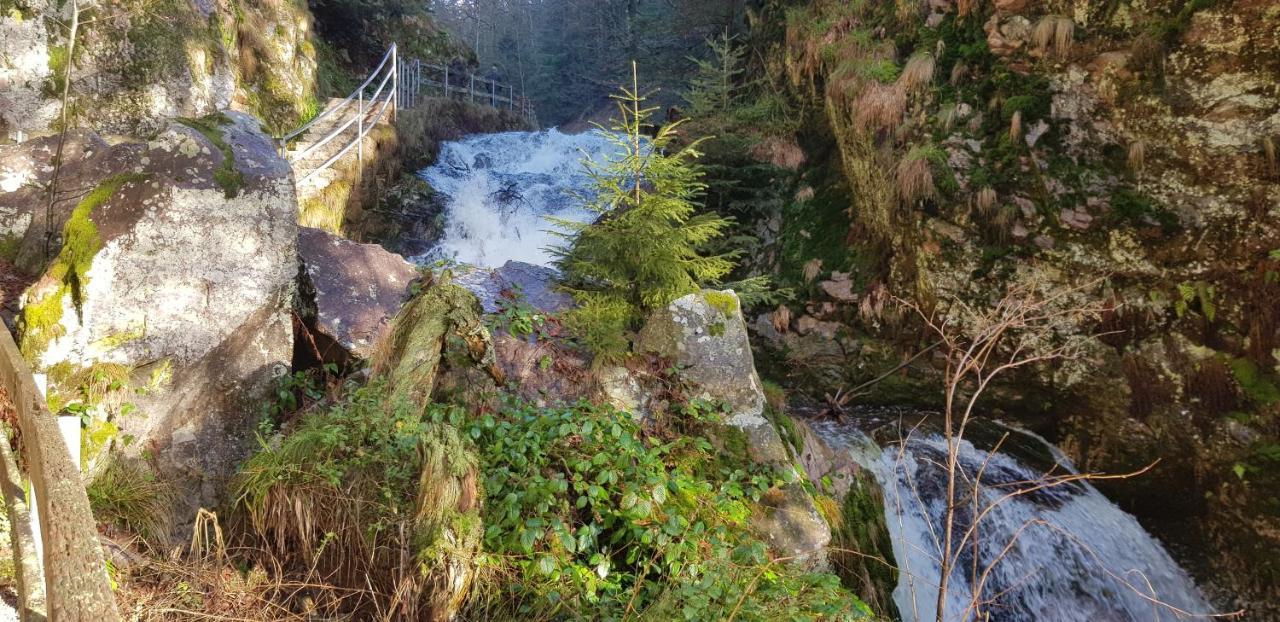 Ferienwohnung Tannenballett Im Schwarzwald Baiersbronn Dış mekan fotoğraf