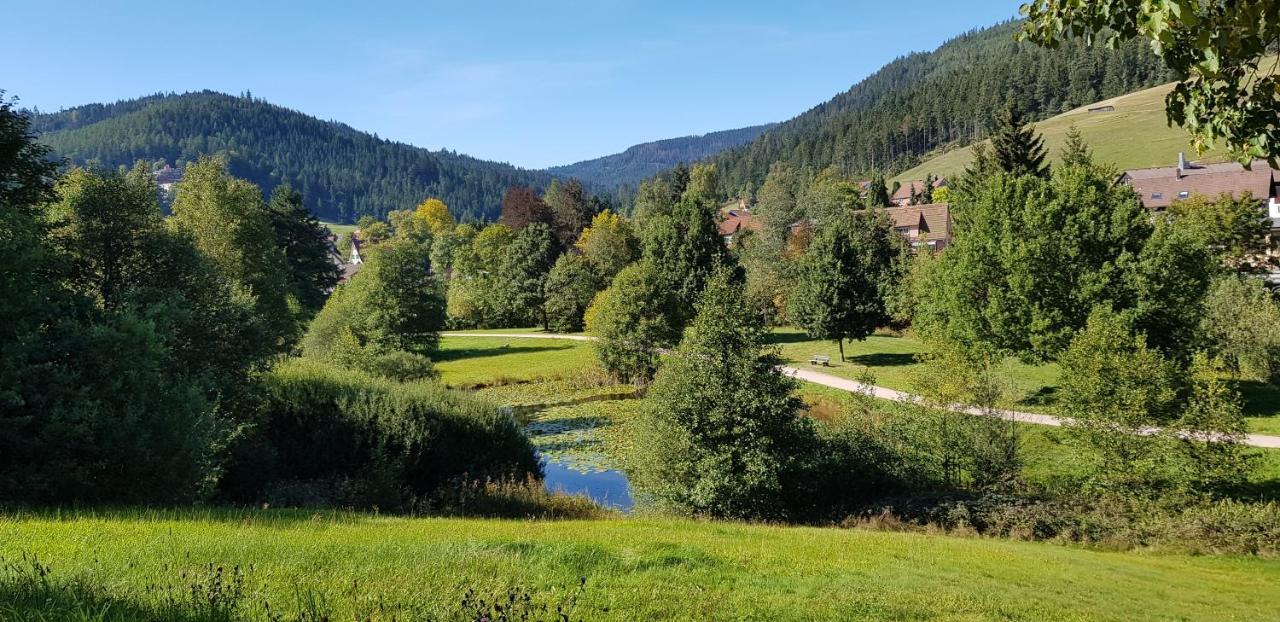 Ferienwohnung Tannenballett Im Schwarzwald Baiersbronn Dış mekan fotoğraf