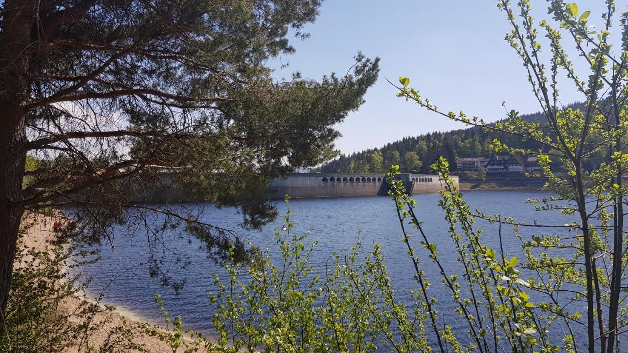 Ferienwohnung Tannenballett Im Schwarzwald Baiersbronn Dış mekan fotoğraf