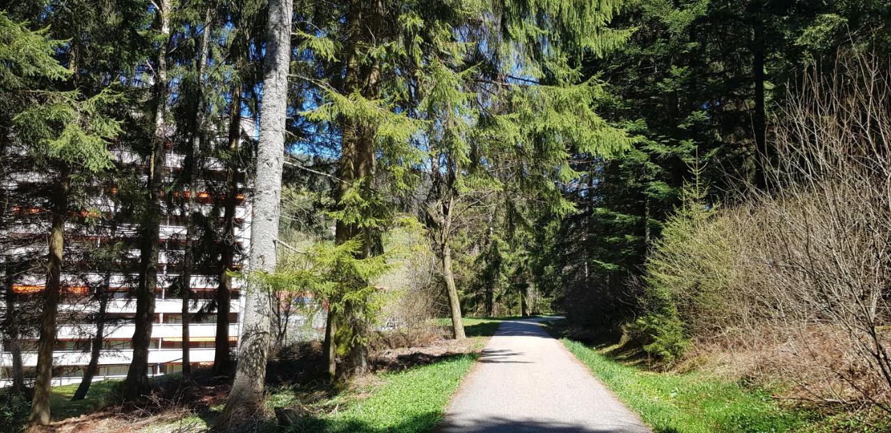 Ferienwohnung Tannenballett Im Schwarzwald Baiersbronn Dış mekan fotoğraf