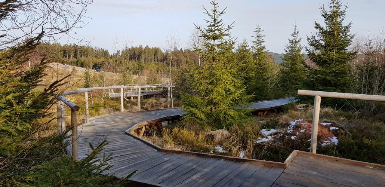 Ferienwohnung Tannenballett Im Schwarzwald Baiersbronn Dış mekan fotoğraf